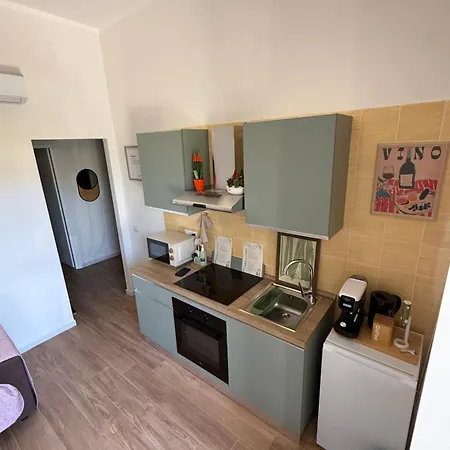 Casa Lavinia Apartament *